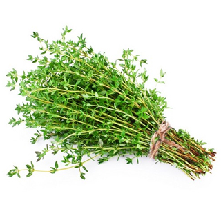 Thyme extract